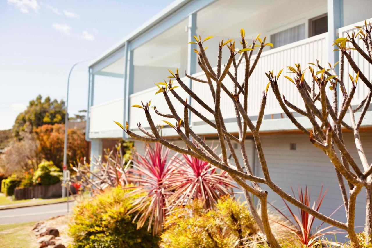 Mollymook Motel Esterno foto